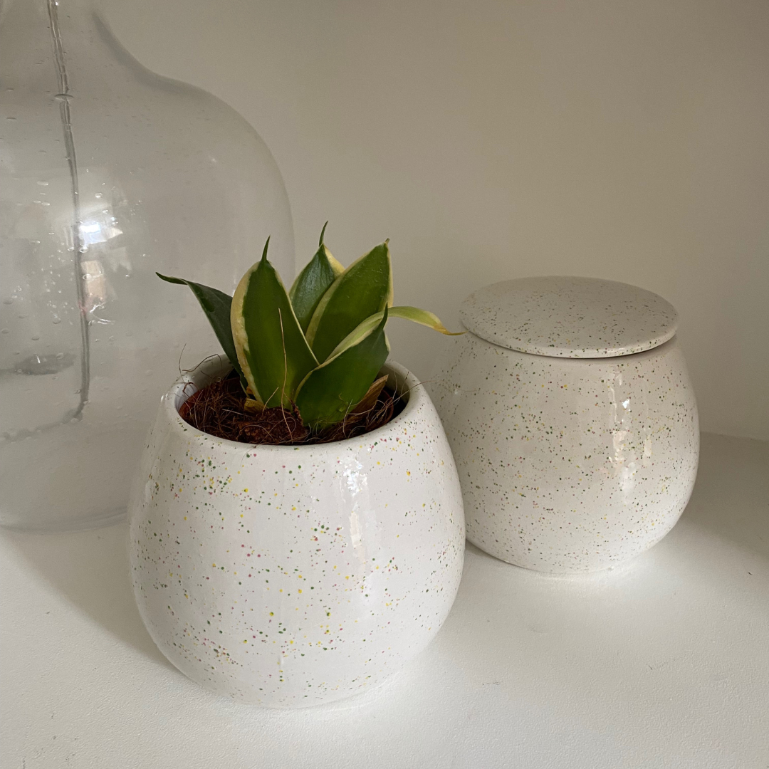 Fresh fig - Hand painted ceramic soy wax three wick candle